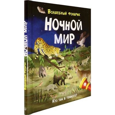 Волшебный фонарик. Ночной мир (Риган Лиза) - фото №7