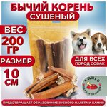 Бычий корень сушеный (10 см) - изображение