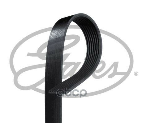 Ремень поликлиновый Gates арт. 8PK1538HD