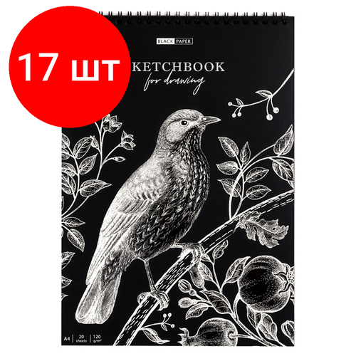 Комплект 17 шт, Скетчбук 20л, А4 ArtSpace Black line. Bird, на гребне, черный блок, 120г/м2 скетчбук умбрийская долина а4 20 листов