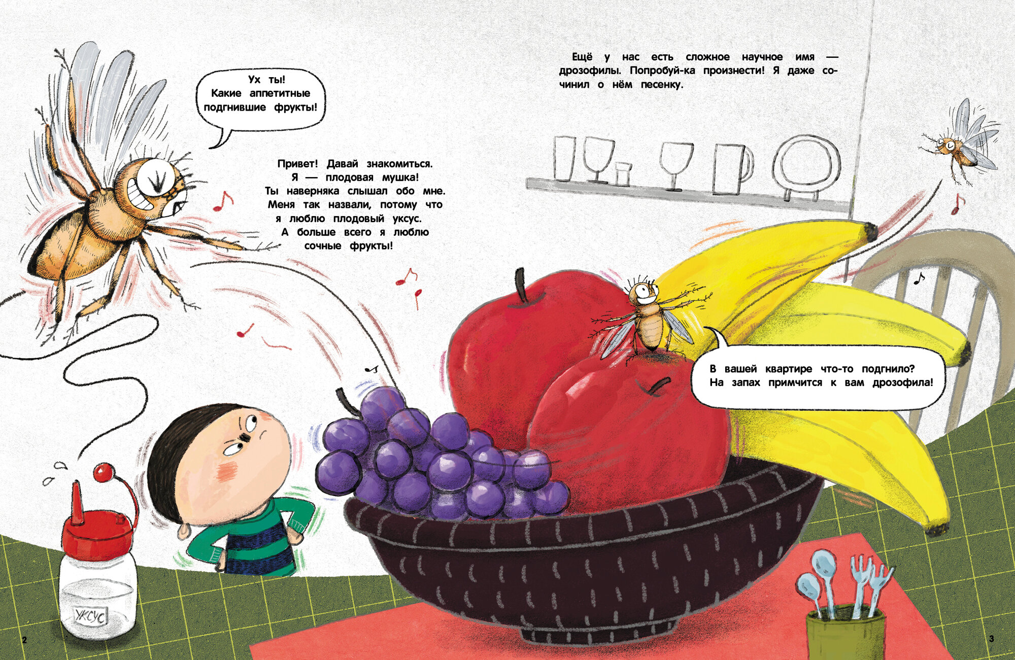 Секрет плодовых мушек — фото 1