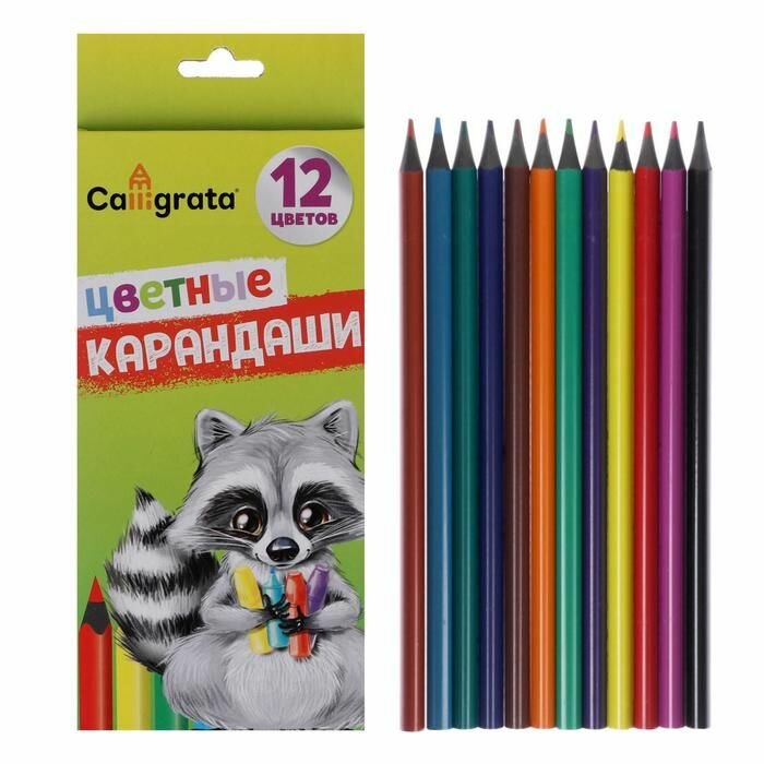 Карандаши цветные Calligrata заточенные, 12 цветов, в картонной коробке
