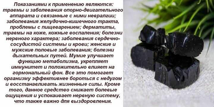 Мумие таежное натуральное 550 мл (2 шт. в упаковке) (Здравница травника Гордеева) — фото 1