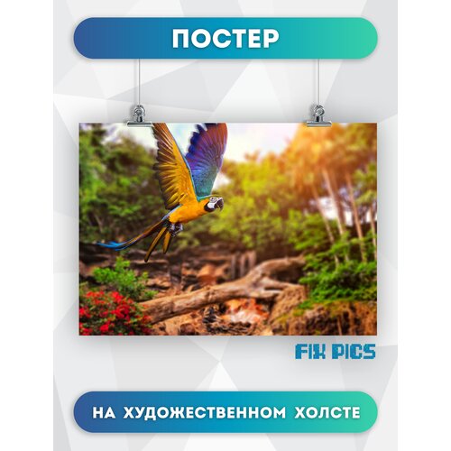 Постеры интерьерные, на холсте для дома, в офис, подарок, плакат Попугай (13) 50х70 см