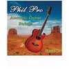 Струны для акустической гитары, бронза 80 / 20, 0,010 - 0,046, light - Phil Pro Set 10 - 46 - изображение
