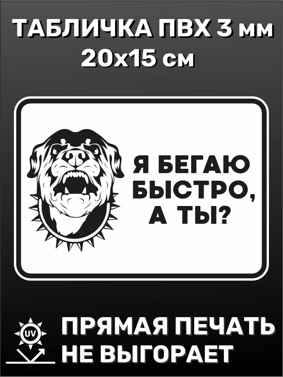 Табличка информационная прикольная Злая собака Я бегаю быстро а ты? 20х15 см