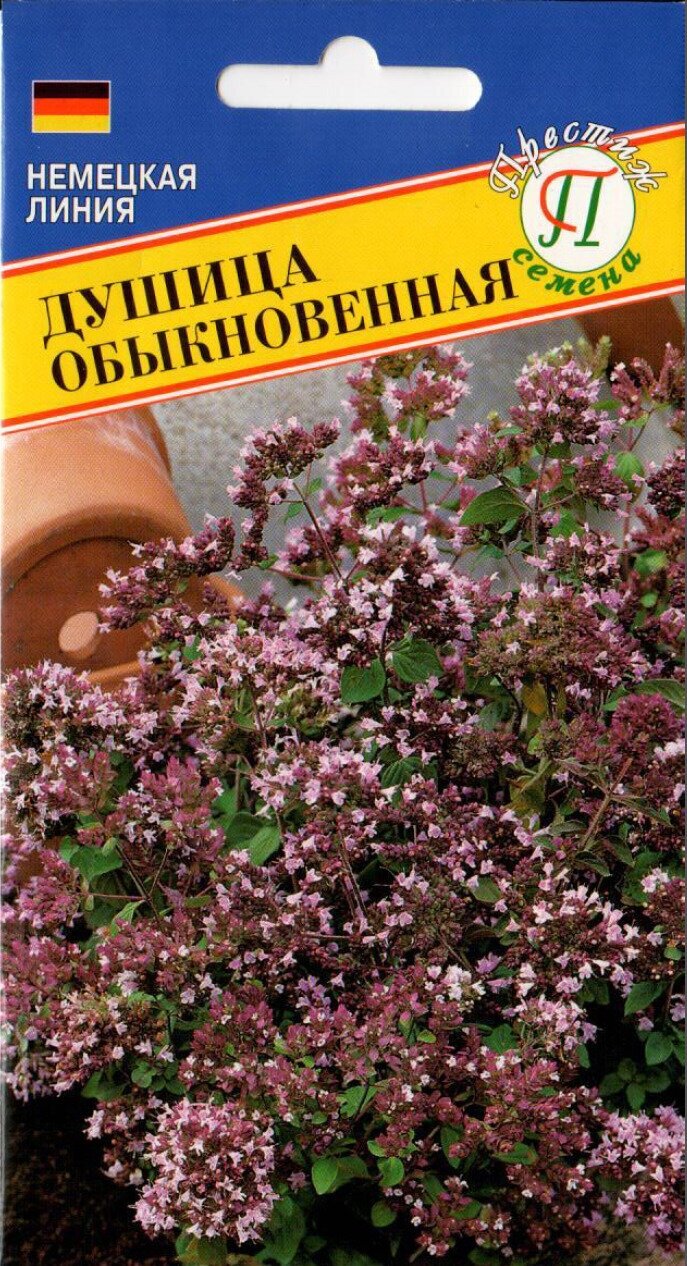 Душица обыкновенная Радуга. Семена. Многолетник. Растение высотой 80 см стебли прямостоячие. Цветет лилово-розовыми цветками. Облиственность высокая