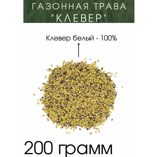 Семена Клевер 200 грамм