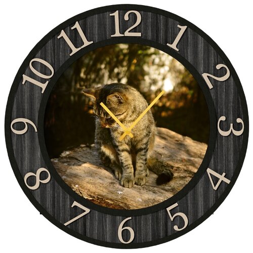 фото Настенные часы svs 3502211