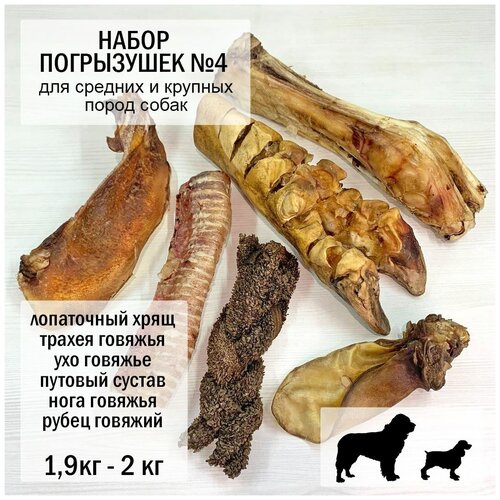 Набор Погрызушек №4 для средних и крупных пород собак 1,9-2 кг трахея говяжья /ухо целое /нога говяжья/ путовый сустав