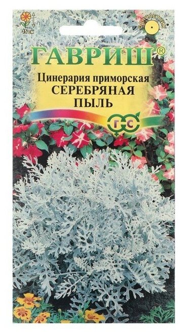 Гавриш Семена цветов Цинерария приморская "Серебряная пыль", 0,1 г