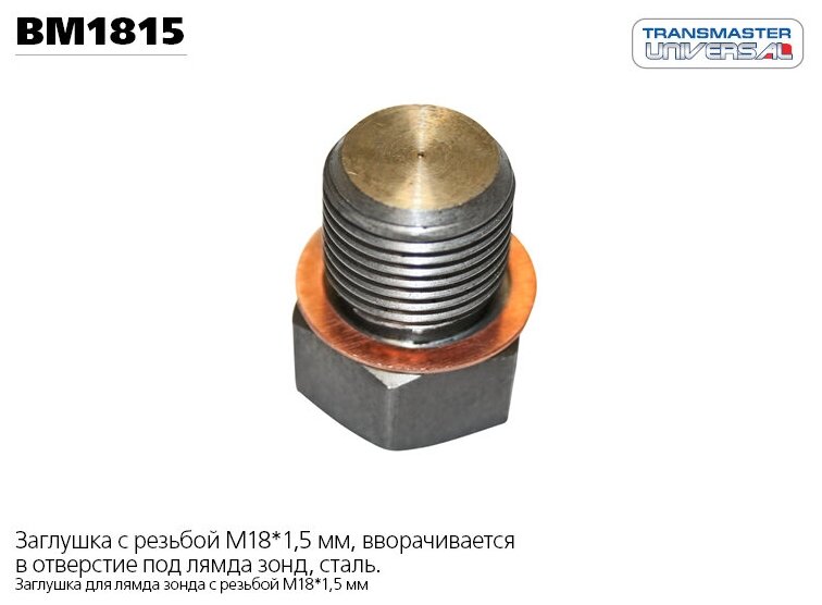 Заглушка лямбда-зонда с медной шайбой зад TRANSMASTER UNIVERSAL BM1815