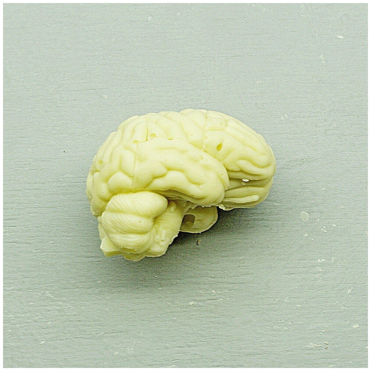 Подарочная шоколадная фигура Frade/Фраде - Мозг (вес-40г) (белый) - фотография № 2