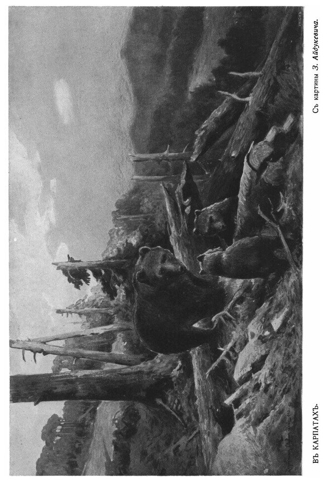 Книга Зарубежная Русь (Погодин Александр Львович) - фото №6