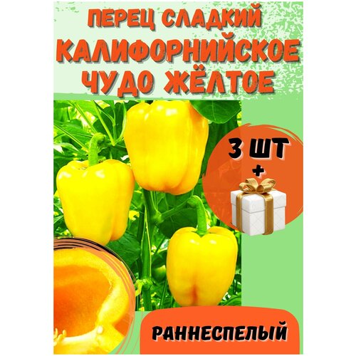 Перец сладкий жёлтый калифорнийское чудо 3 шт/Семена/аэлита перец сладкий комнатный пик семена