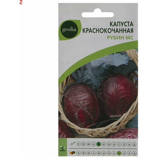 Семена Капуста краснокочанная Рубин МС (2 шт.) грунт красный рубин 1 кг 330 2 шт