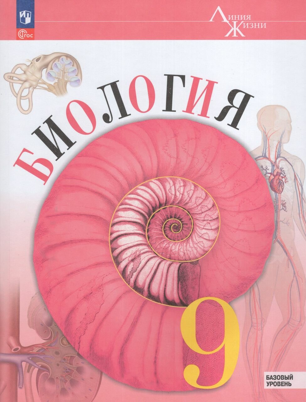 Биология. 9 класс. Учебник. Базовый уровень 2024 | Пасечник В. В, Гапонюк З. Г, Швецов Г. Г, Каменский А. А.