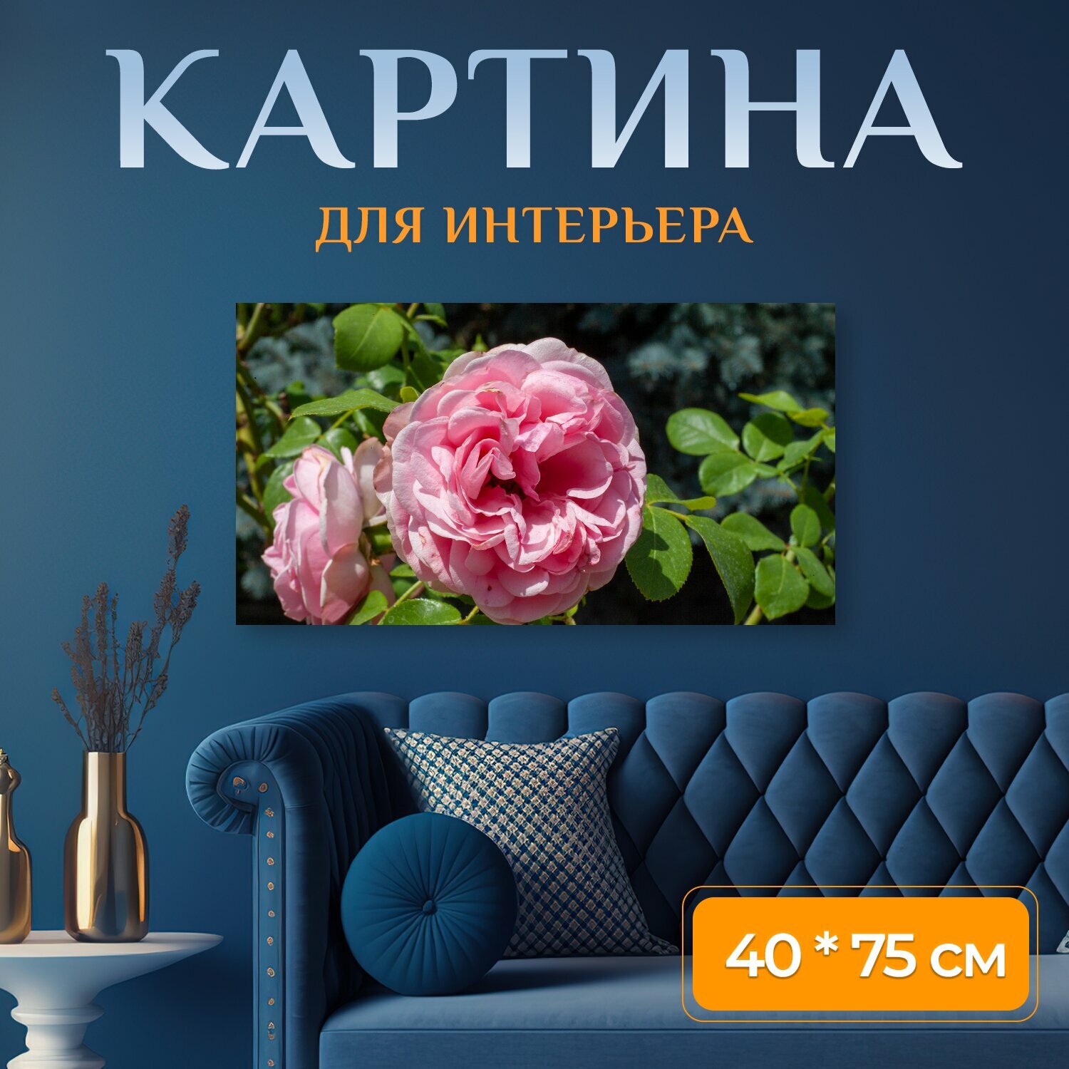 Картина на холсте "Розовый, природа, цветок" на подрамнике 75х40 см. для интерьера