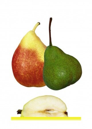 Комплект демонстрационных и раздаточных карточек "Фрукты"