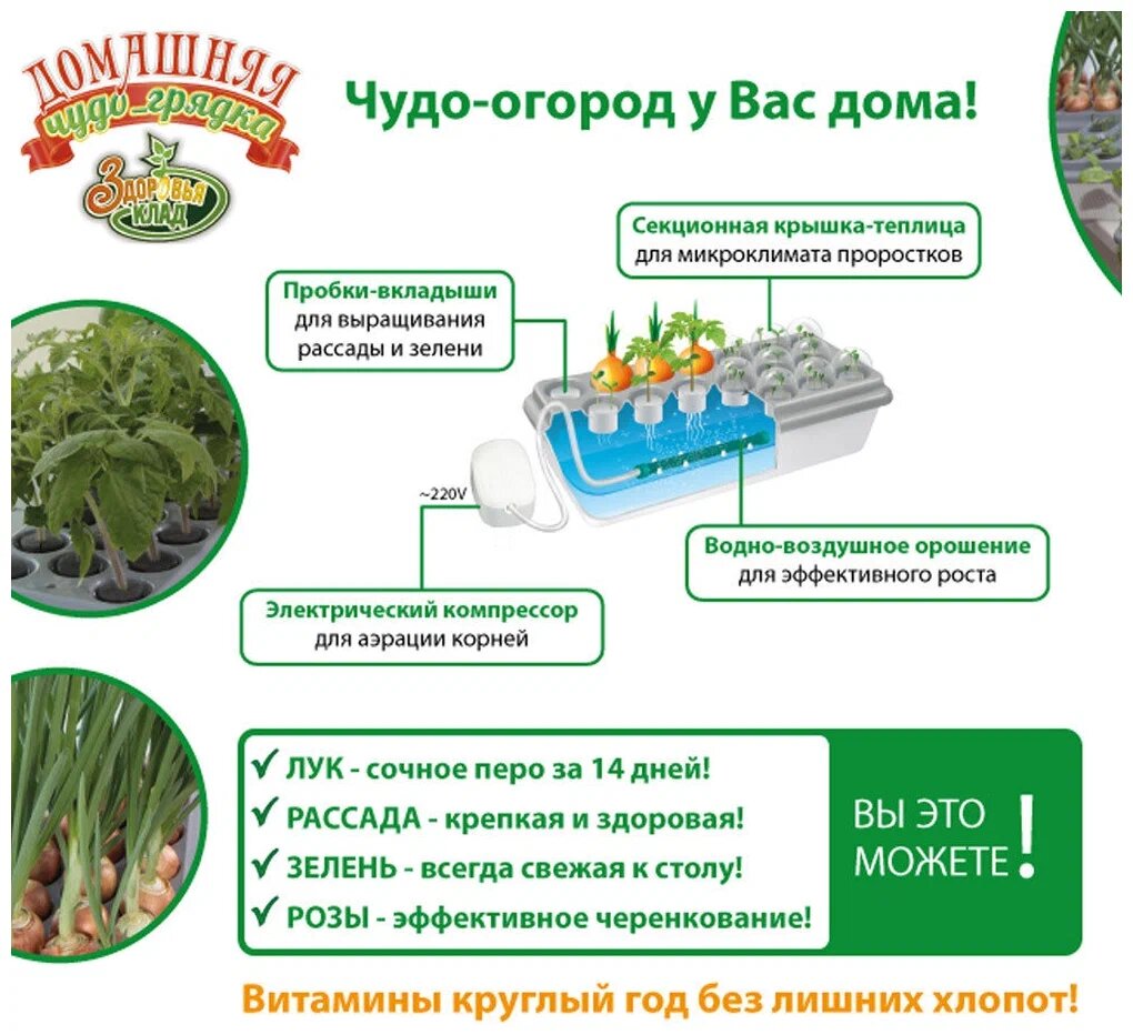 Изображение Чудо-грядка, домашний гидропонный проращиватель