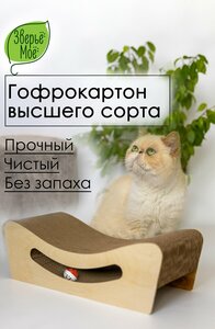 Основная фотография от вендора