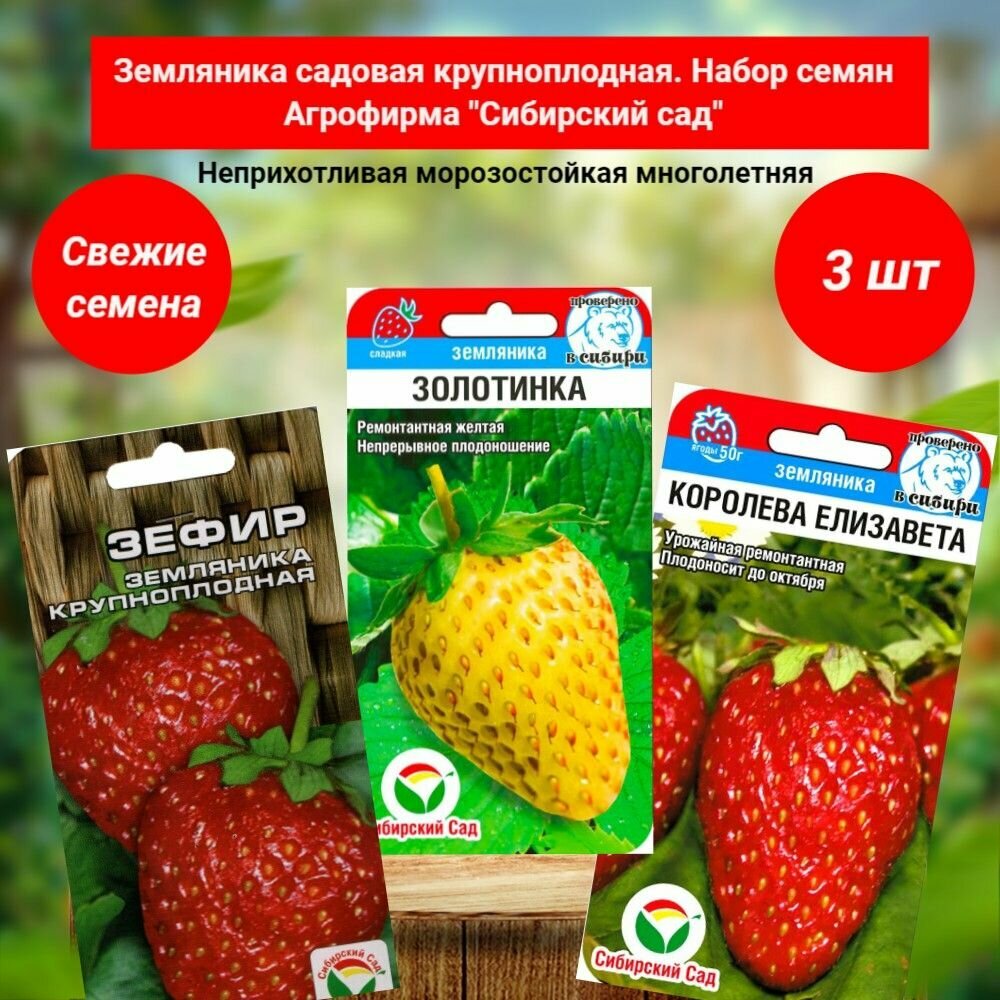Земляника крупноплодная садовая ремонтантная. Набор семян 3 сорта. Агрофирма "Сибирский сад"