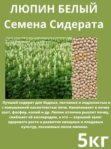 Основная фотография от вендора