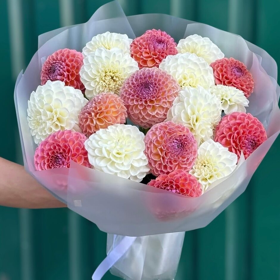Букет из белых и розовых георгинов 19 шт красивый букет цветов шикарный премиум цветы премиум букет