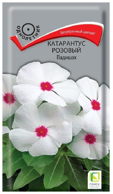 Семена Катарантус розовый «Поиск» Падишах, 0,1 г - фото №2