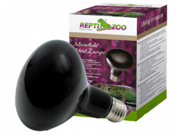 Лампа накаливания Repti Zoo, ночная 80100D "ReptiNightglow", 100Вт . - фотография № 4