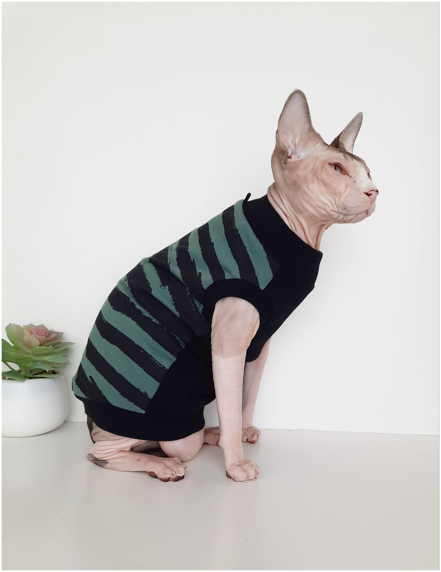 Свитшот для кошек, размер 35 (длина спины 35см), цвет черно-зеленый/ толстовка свитшот свитер для кошек сфинкс / одежда для животных - фотография № 3