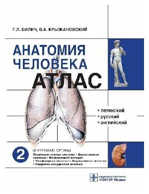 Атлас анатомии человека. В 3-х томах. Том 2 - фото №2