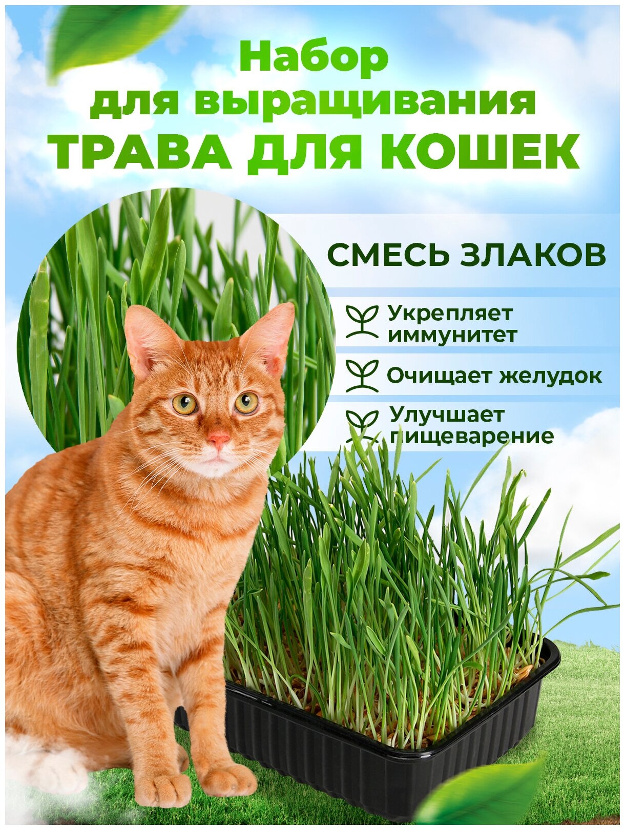 Набор для проращивания Трава для кошек Смесь МММ 30 г / в лотке для животных / микрозелень для котов / семена наборы + лотки