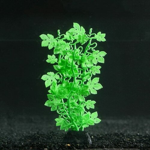 Растение силиконовое аквариумное, светящееся в темноте, 6.5 x 18 см, зелёное