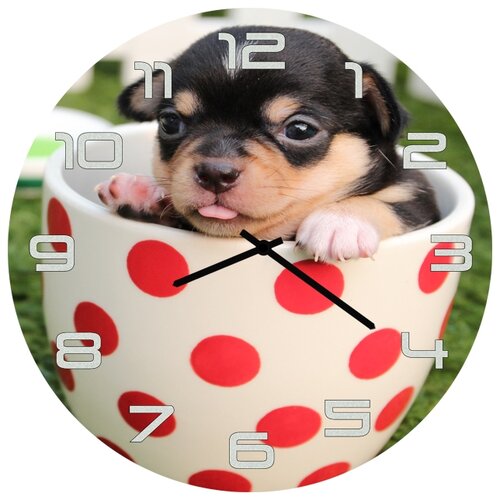 фото Настенные часы svs 3001849