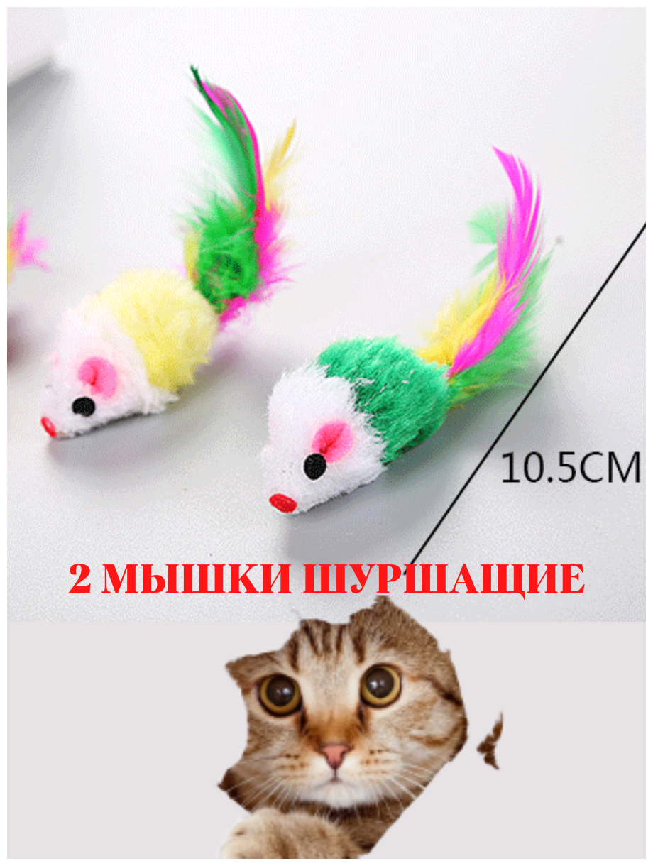 Игрушки для кошек с мятой, набор игрушек с мышкой. - фотография № 6