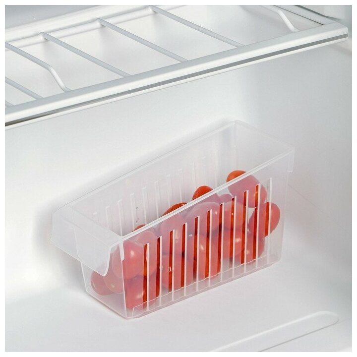 Контейнер для холодильника Доляна, 16,5×7×9 см, цвет прозрачный - фотография № 3