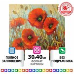 Картина стразами (алмазная мозаика) 30*40 см, остров сокровищ 