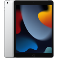 Планшет Apple iPad 2021, 256 ГБ, Wi-Fi, серебристый, Global
