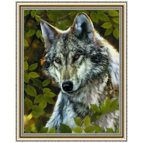 Алмазная мозаика на подрамнике (картина стразами) 40х50 Серый волк среди листьев