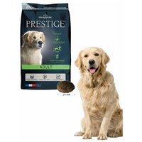 Сухой корм Pro-Nutrition Flatazor Prestige Adult для взрослых собак всех пород (8кг)