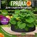 Грядка, Грядки, Грядки, клумбы, ограждения, Садовый декор