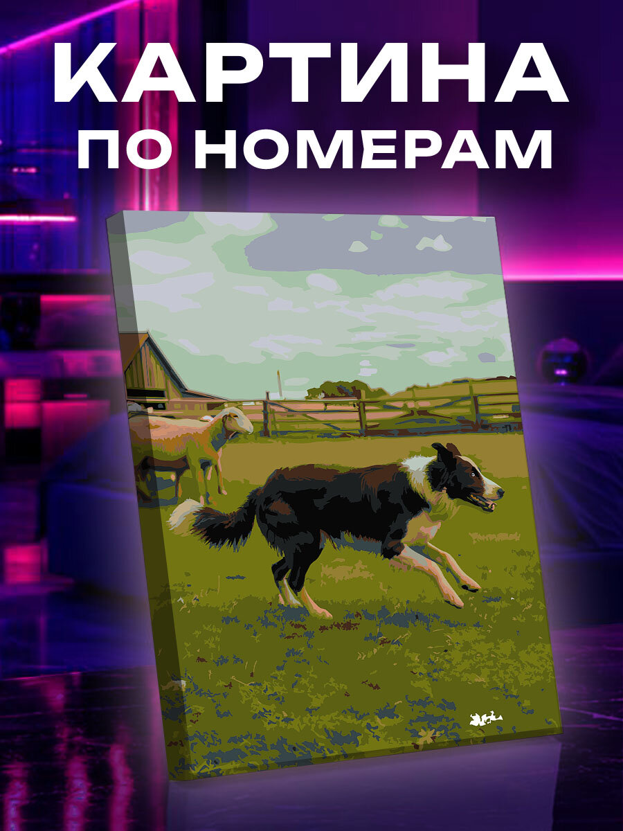 Картина по номерам Собака