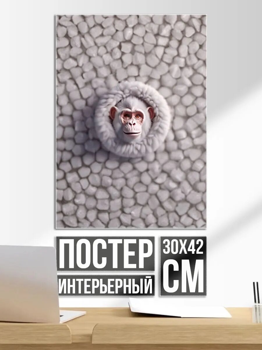Постер на стену Забавная белая обезьяна