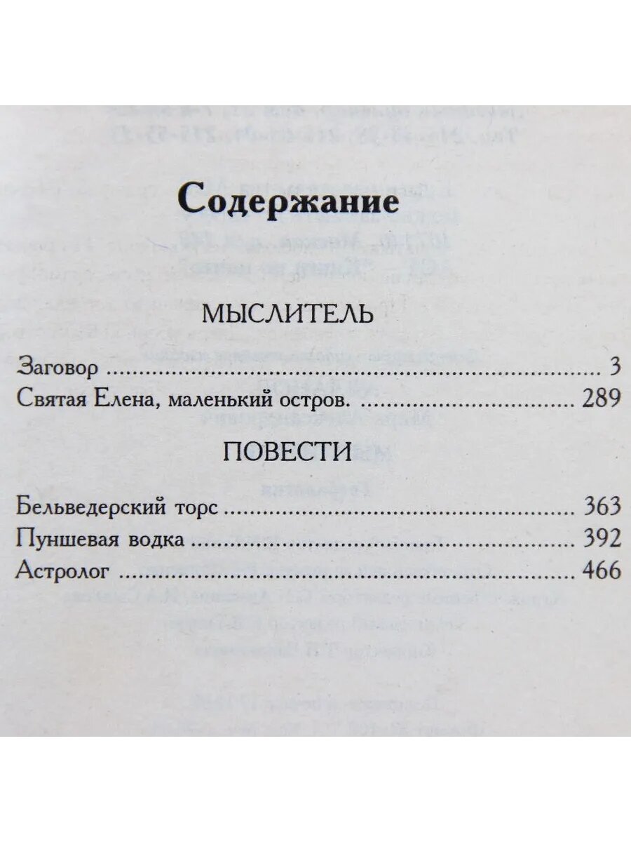 Мыслитель (Арт.006) — фото 1