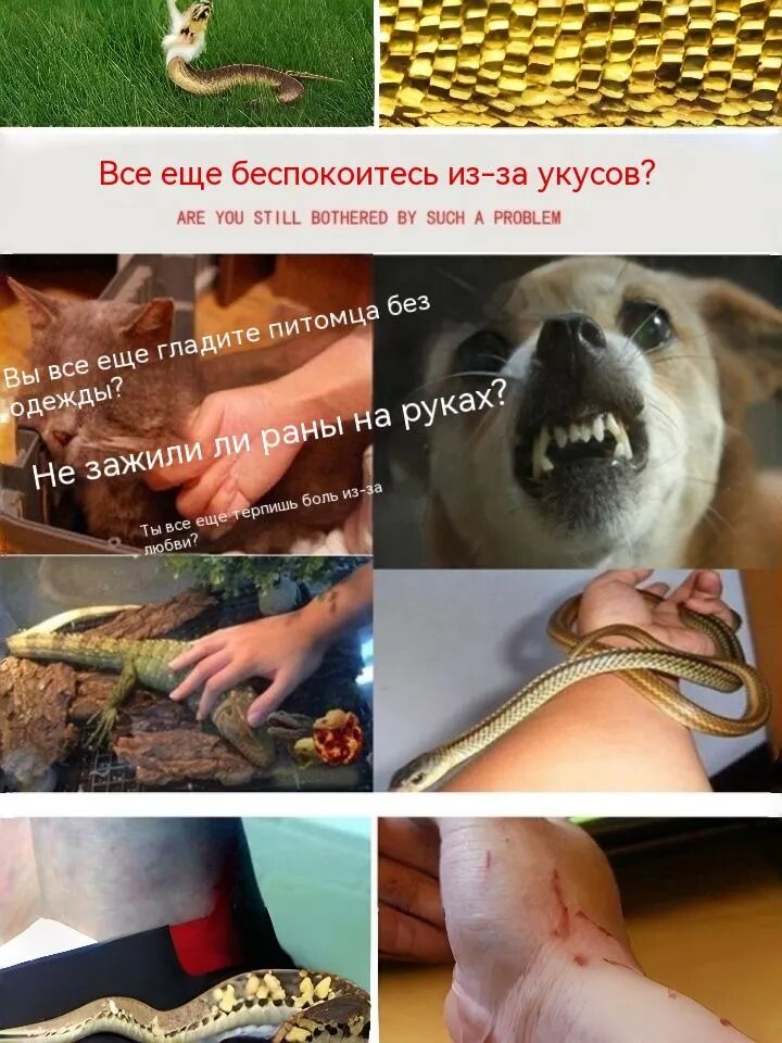 Перчатки против укусов, для работы с животными, садом и защитными задачами — фото 1
