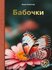Бабочки
