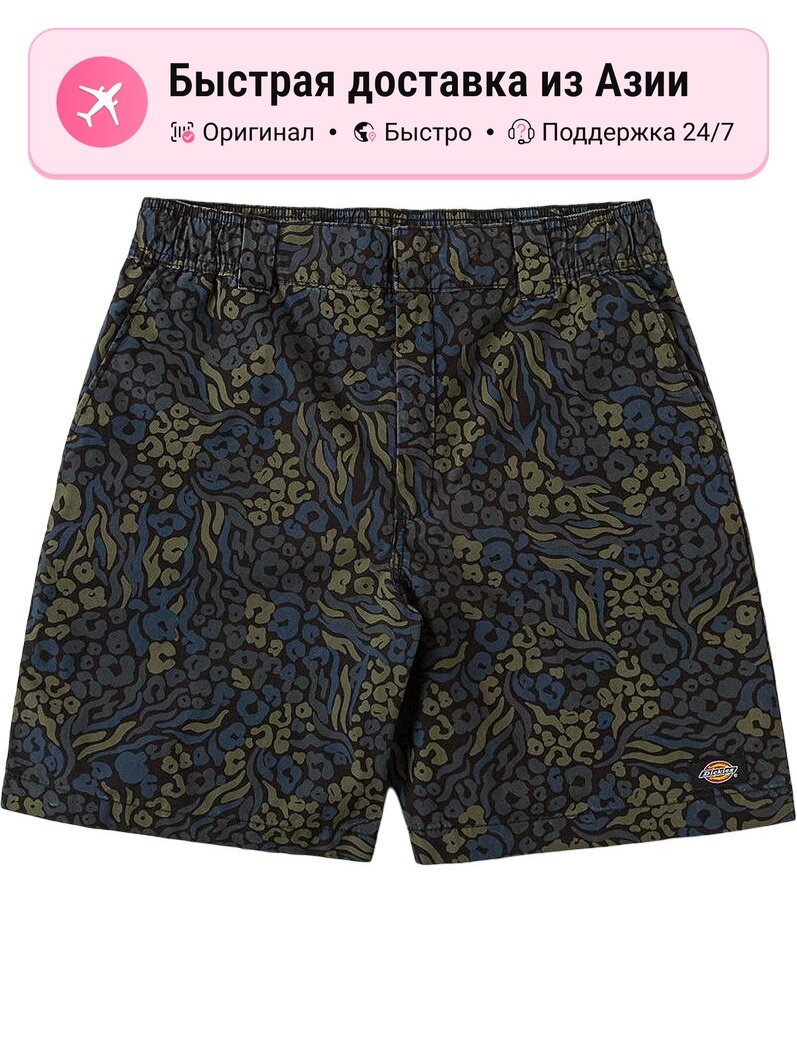 Шорты Dickies Moderate