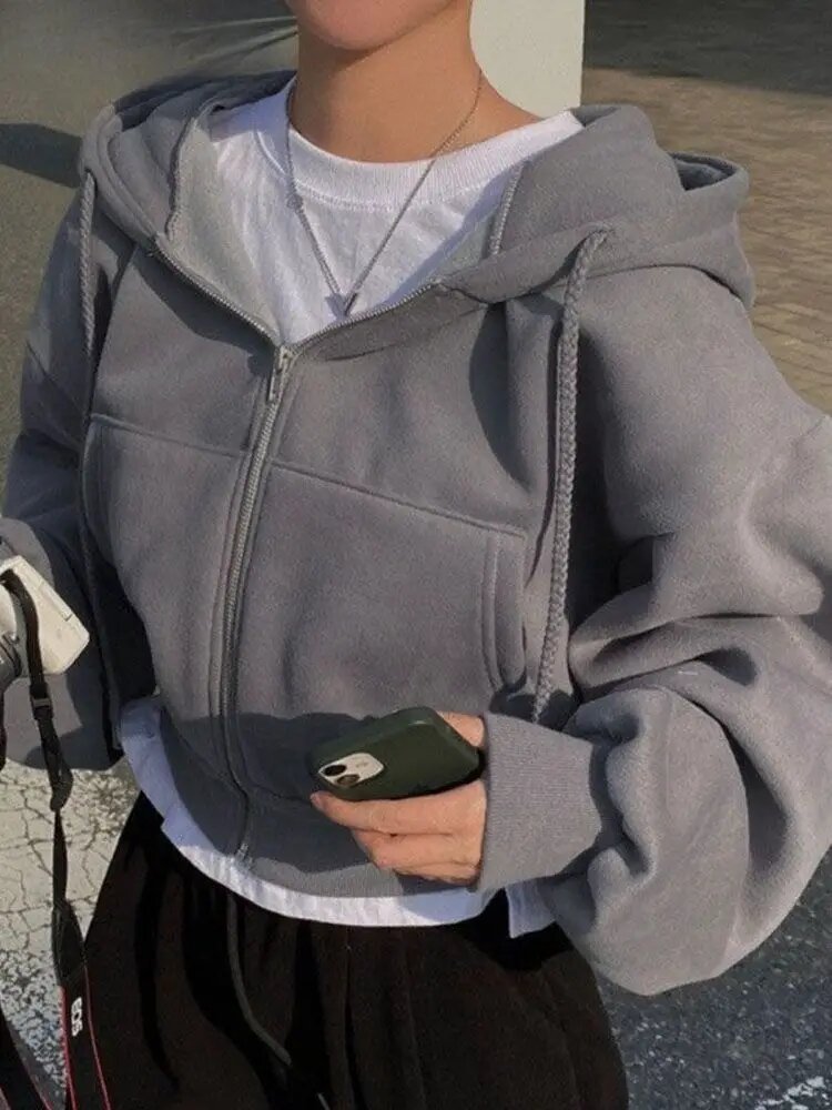 Толстовка , 1 шт.