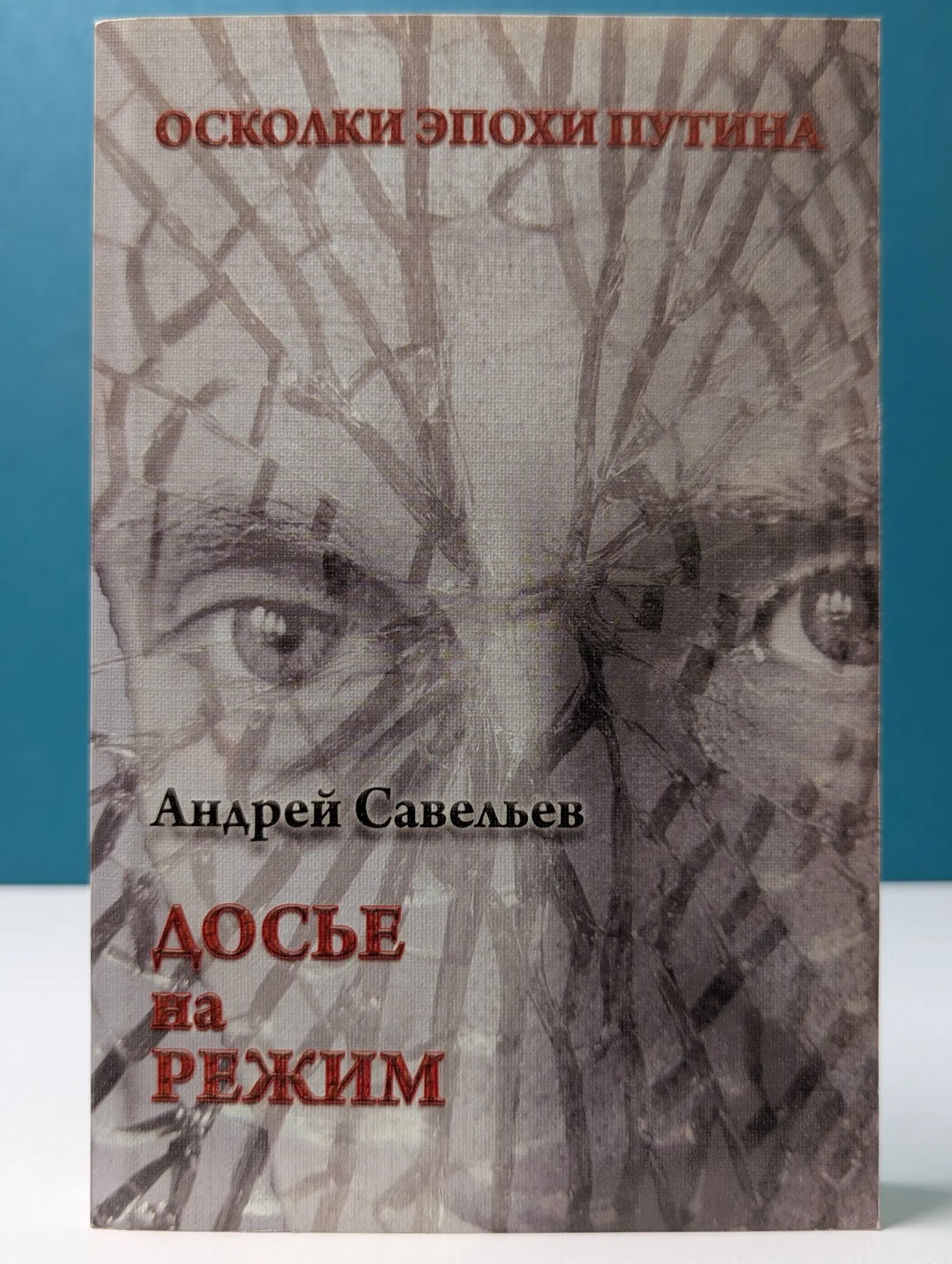 Осколки эпохи Путина. Досье на режим Савельев Андрей Николаевич 2011